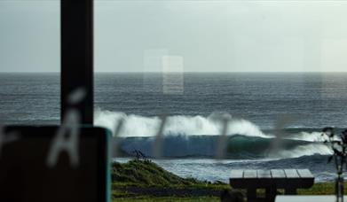 Driftwood Surf Café - driftwood at the bay