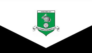 Ballyhar Dynamos