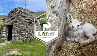 Beehive Huts - Hold A Baby Lamb