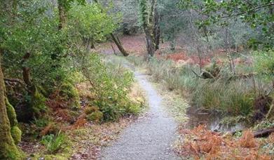 rosacroo woods