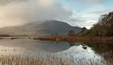 Killarney Photography Tours