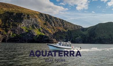 1.5hr Valentia Island Harbour Tour