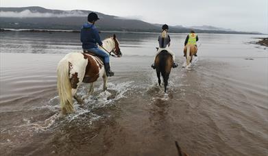 Dromquinna Stables