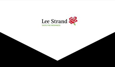 Lee Strand Logo