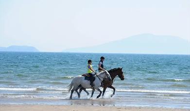 horses riding along ballinskelligs bay
