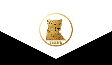 Tribe logo with K logo