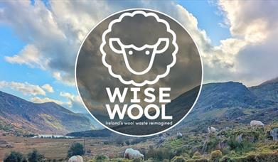 Wise Wool Project