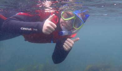 Sea Synergy - Snorkel tour