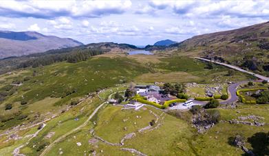sheep dog demonstrations at Kissane Farm