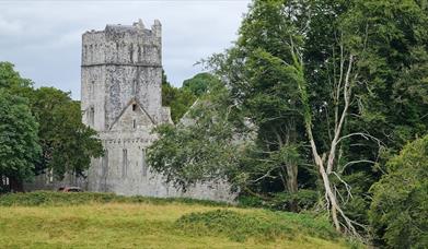 muckross abbey in killarney national park